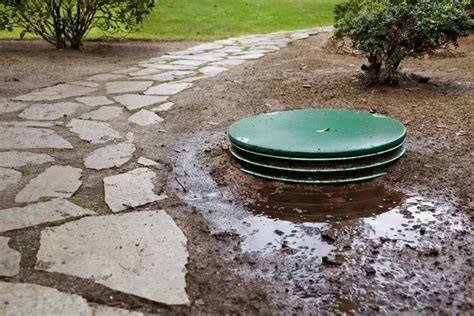 septic tank leaking into yard|Diagnosing the Cause of a Septic Tank Leak